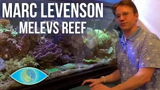 Unknown Reef Keeping Trick... Melevs Reef