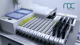 Lepu ADC ELISA 180