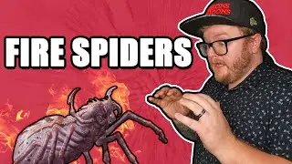 Dungeon Master Therapy: Spicy Spiders