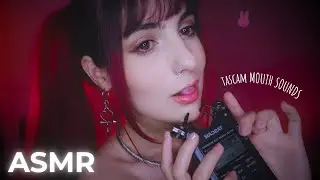 ASMR 🌙 Tascam Slow Mouth Sounds ⭐ (No talking)
