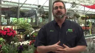 Best planting mix to get the best harvest & flowers in raised beds