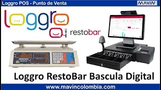 Loggro Restobar Venta POS, Punto de Venta en conexion con bascula HY918 USB RS232