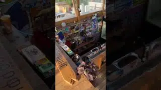 Сочи / Адлер / Сёрф Дом