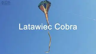 latawiec cobra