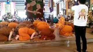 Tiger Temple, Thailand 01-01-2016