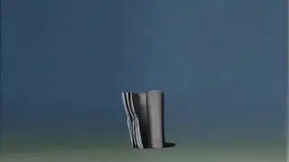Things That Are Beautiful and Transient No Distortion