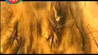 SAKLI TARİHİN GİZEMLİ ÇOCUKLARI ROMANLAR