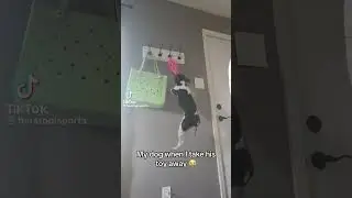 😂