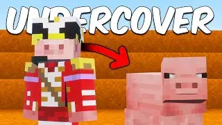 Undercover on a Minecraft Server To KILL My Enemy