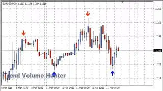 Авторский Высокоточный Индикатор «Trend Volume Hunter»