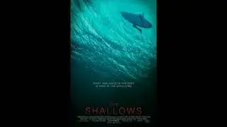 The Shallows Review