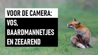 Spoorzoeken en fotograferen in de Oostvaardersplassen.