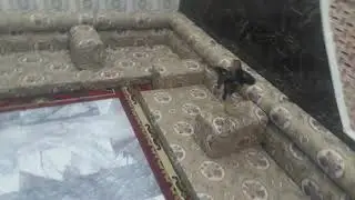 عركه ديوجه