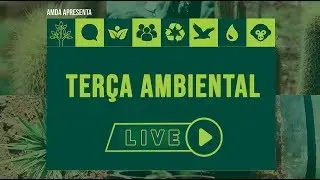 Terça Ambiental Live - Situação da Mata Atlântica em Minas Gerais
