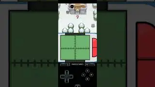 It's not a snow..?? #pokémonplatinum #whatisthis