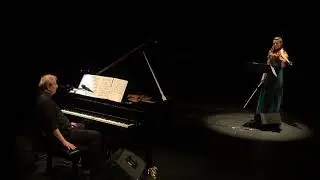 Wim Mertens - Close Cover