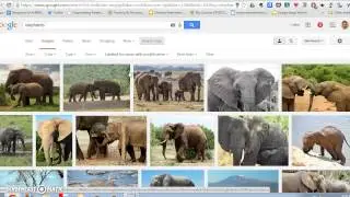 Find Creative Commons Images in Google Image Search