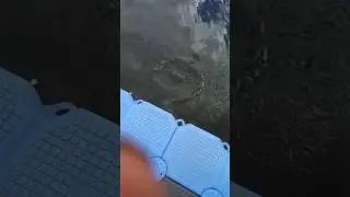 Рыбалка на банном озере
