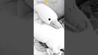 предупреждения что конец.. 😰