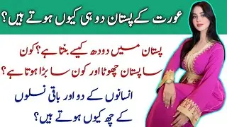 Aurat ke pastan kaise banty hain | Pastan kya hote hain | Breast structure | Breast awareness |