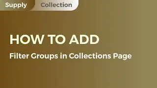 How to add Filter Groups in Collections Page - Arena Commerce