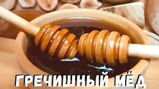 Гречишный мёд. Полезные свойства. Применение гречишного мёда