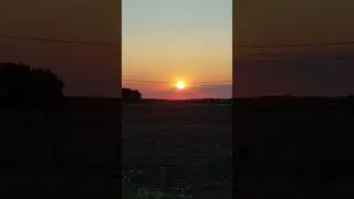 Зая 