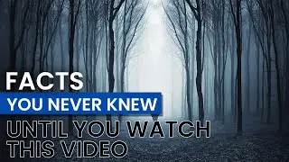50 Facts you never knew until you watched this video! 🤯