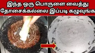 இந்த ஒரு பொருளால் தோசைக்கல்லை இப்படி கழுவி பாருங்க புதுமாறி மின்னும் | How to clean dosa tawa easily