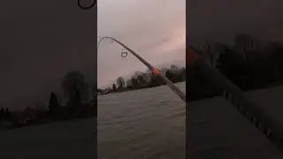 Осенний ДЖИГ!!!