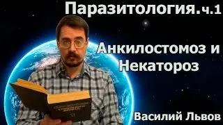Паразитология. ч.1. Анкилостомоз и Некатороз