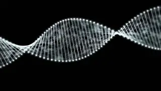 Racialized Foundations in Science, Medicine, and Law | After Dark Online