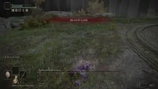 Elden Ring is really good and I'm really good at Elden Ring