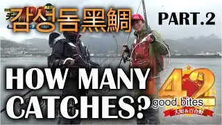 감성돔 100마리 잡기에 도전!! 후편 제방에서　~상온네리에로 감성돔 연타~／前所未聞挑戰100條黑鯛 -堤防編-　常溫煉餌爆釣黑鯛