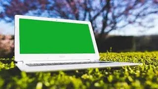 [No Copyright] Laptop Free green screen 