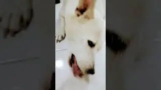 Ang kunat hindi mahuli