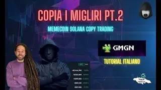 GMGN.AI Tutorial Italiano, copy trading solana wallet whale, meme coin SNIPER BOT