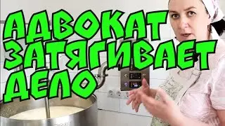Деревенский дневник очень многодетной мамы - затягивают суд и зарабатывают на этом. Доказательства