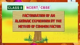 Factorisation | Common Factor Method | 