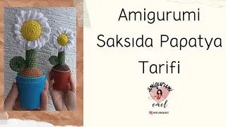 Amigurumi Saksıda Papatya Tarifi