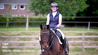 Sales video of a dressage horse