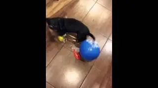 20150308 210248
