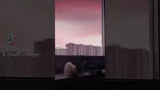 Ю. Шатунов "Розовый вечер"