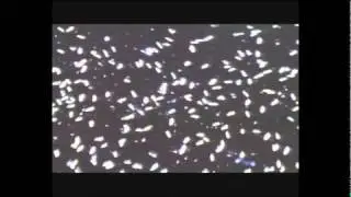 Воздествие космических явлений на воду