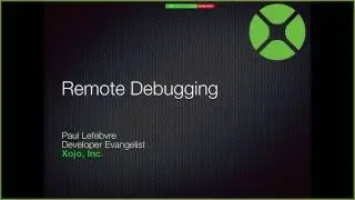 Remote Debugging with Virtual Machines