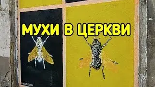 МУХИ В ЦЕРКВИ или легенды Жироны, февраль 2024