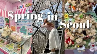 Korea Cherry Blossom Vlog 2024 🐣🌷🌬🌱