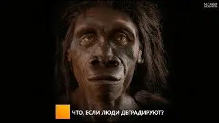 Что, если люди деградируют?