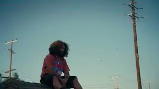 Angelo Mota - animal (Official Audio)