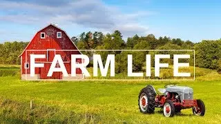 LIFE ON THE FARM | Family Farming 4K Ultra HD | Sony A6300